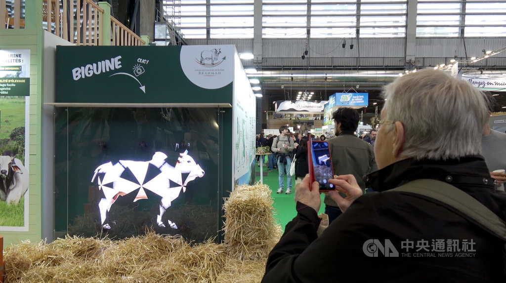 法國牛因傳染病首次缺席農業大展 皮革業也受影響