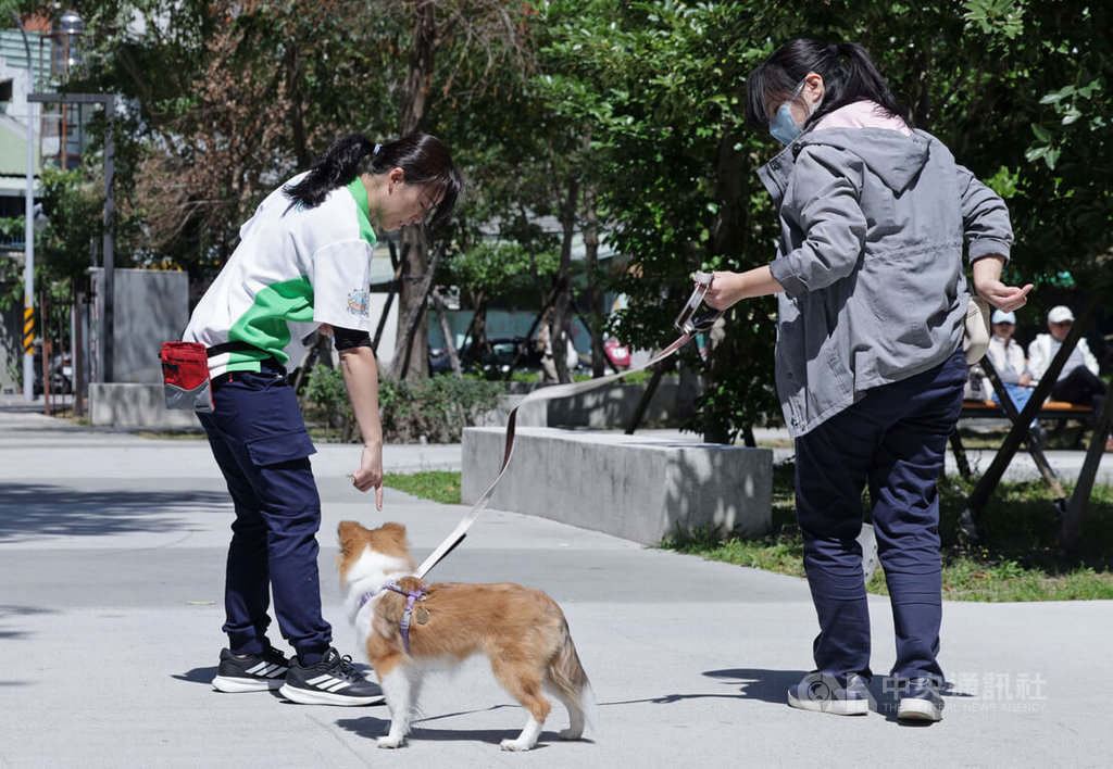 訓練師引導學員與幼犬　戶外散步練習
