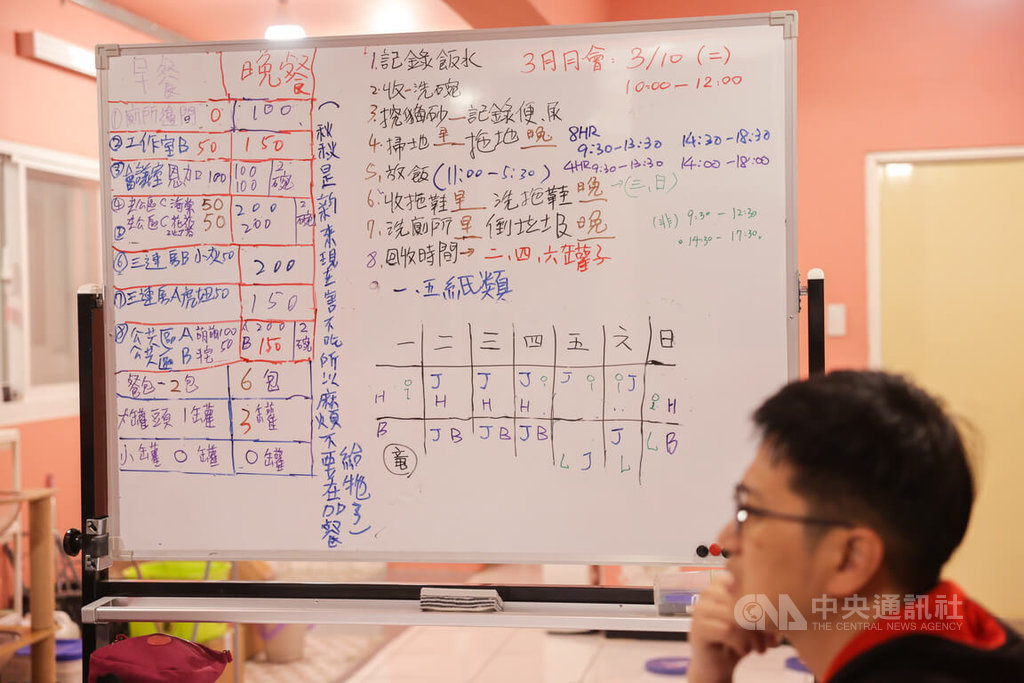 無家者工作貓屋　詳細記錄貓咪作息