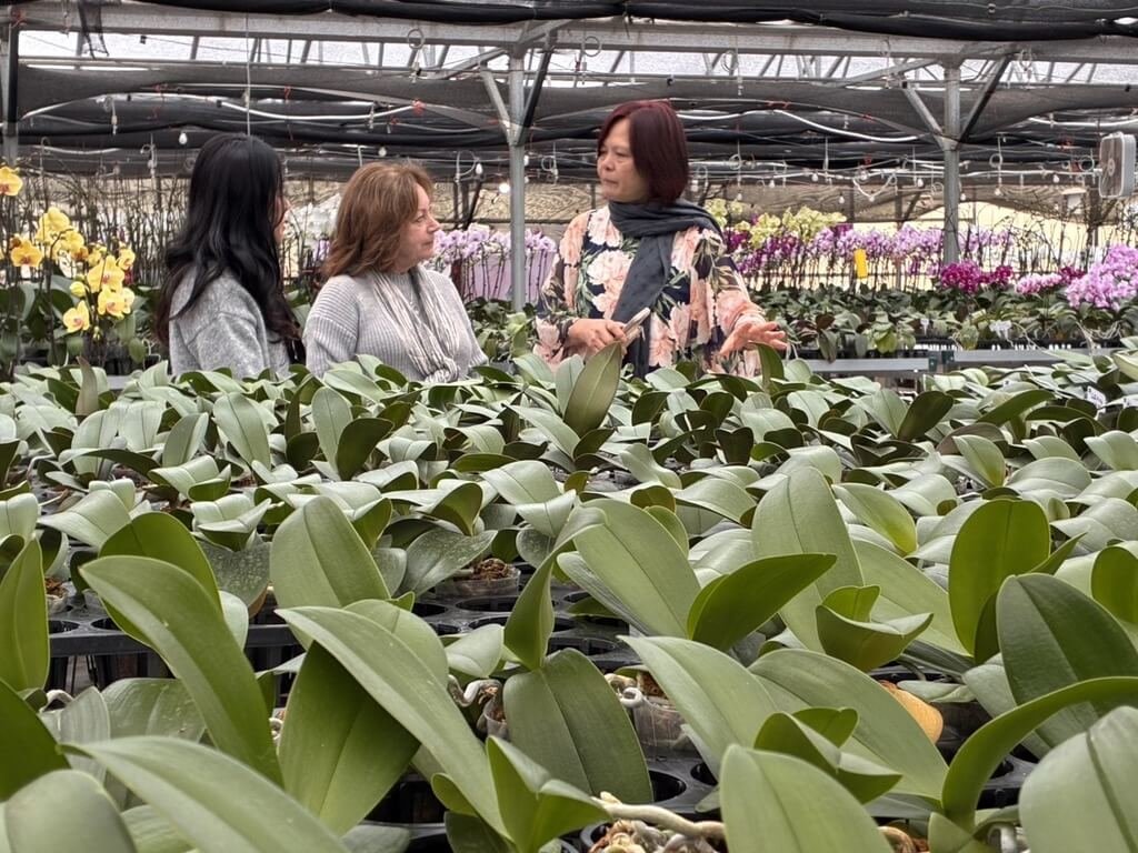 錢微之在美深耕蘭花產業