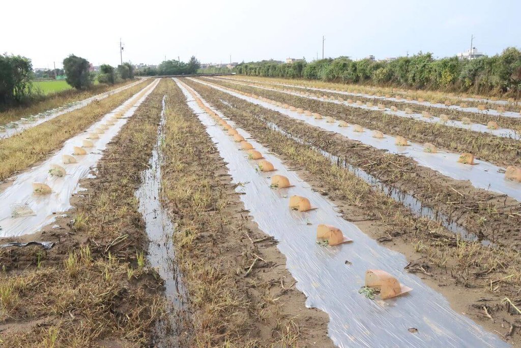 豪雨致水淹苗栗　縣府初估災損逾4.2億元