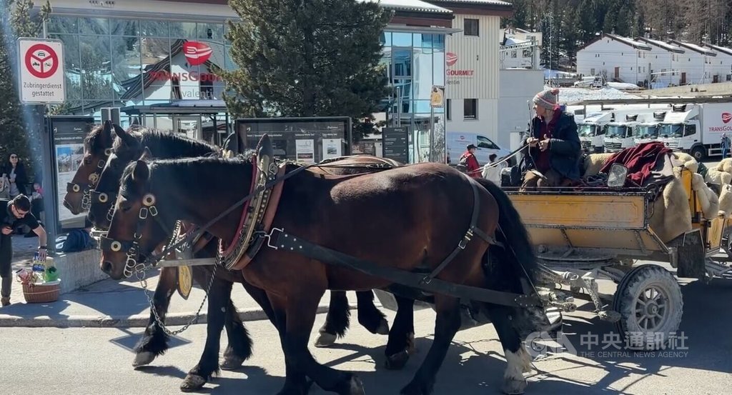 阿爾卑山雪場馬車