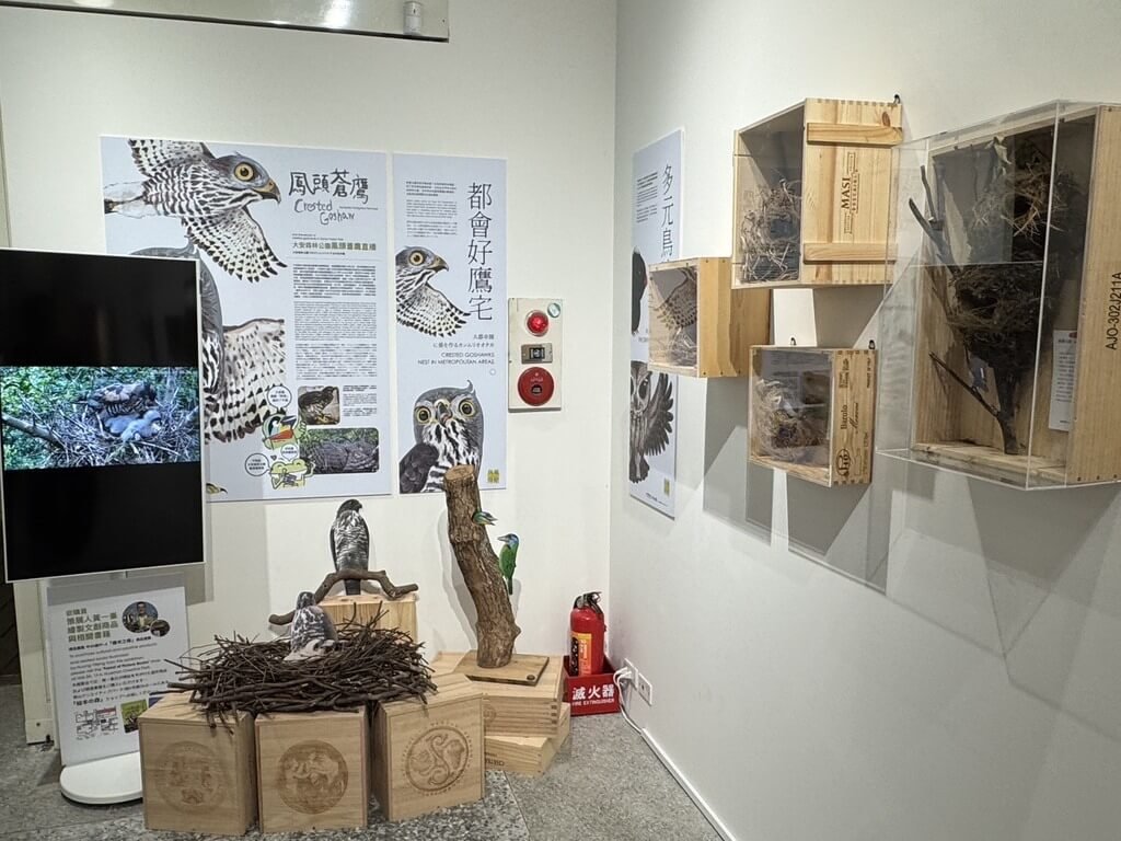 黃一峯「你的城市我的家」城市鳥巢展（2）