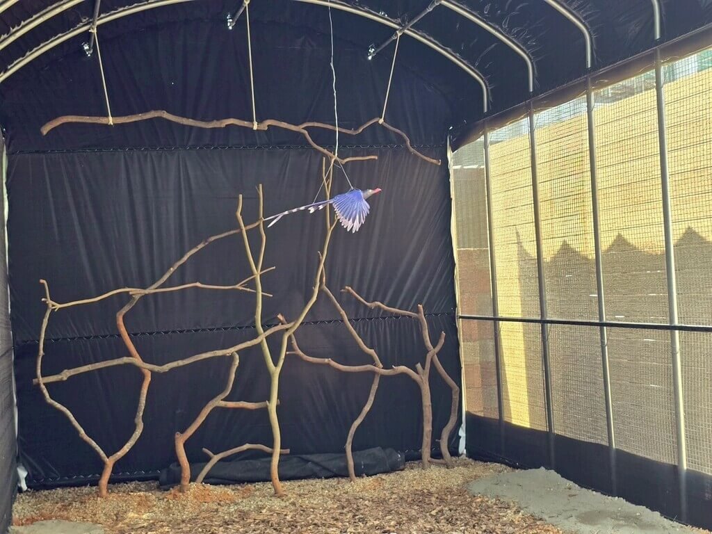 桃園市野生動物救傷收容中心啟用（2）