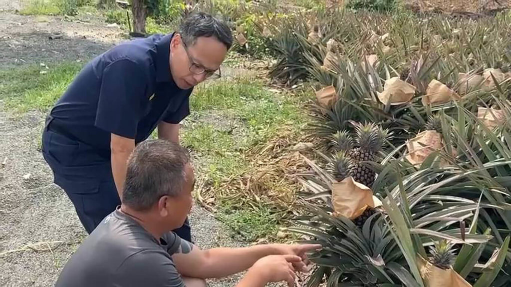 正值屏東鳳梨產季　警方關心果農
