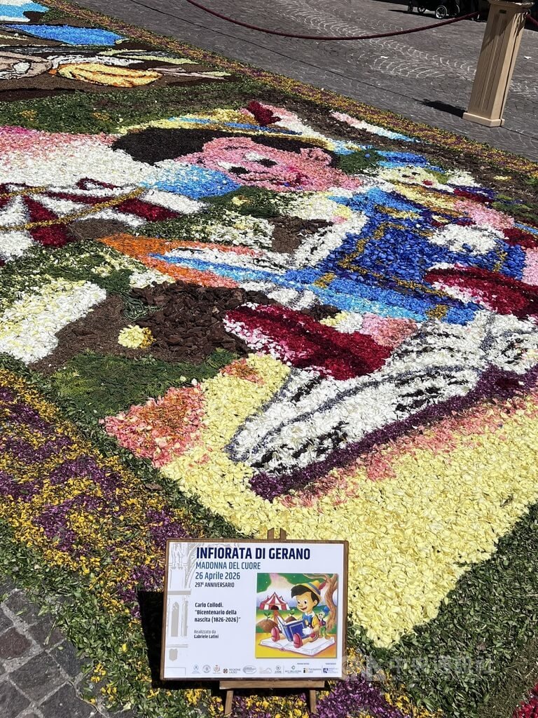 義大利傑拉諾花毯節  皮諾丘主題花毯