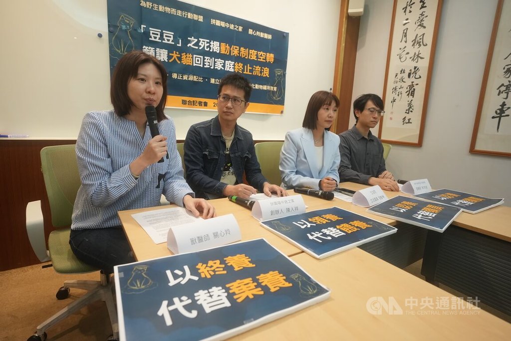 民團籲強化流浪動物收容與認養