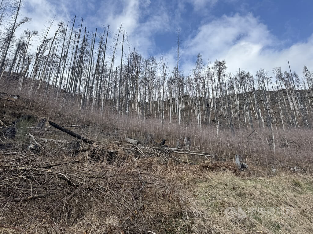 捷克天氣炎熱　知名國家公園發生火災