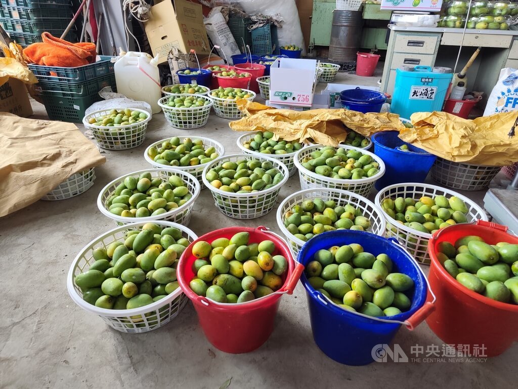 夏季水果進入銷售旺季（2）