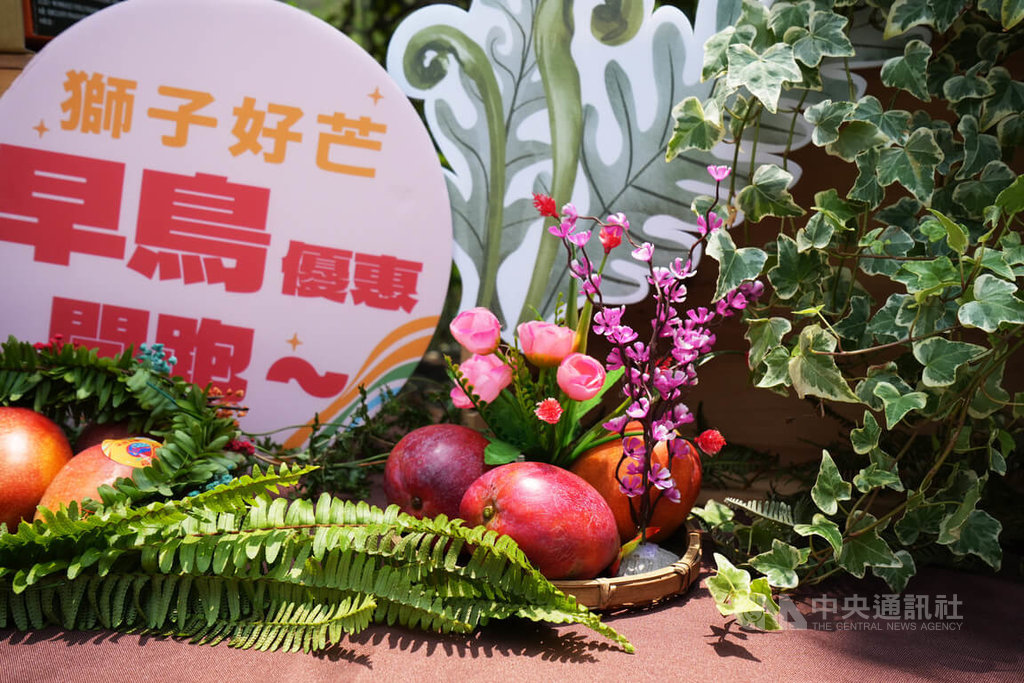 屏東獅子好芒啟動　推愛文芒果產地直送
