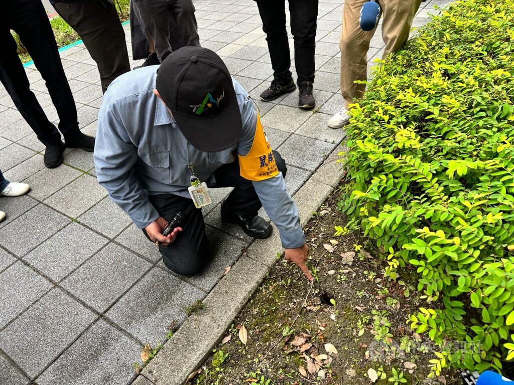 北市鼠類偵防師示範追蹤鼠跡