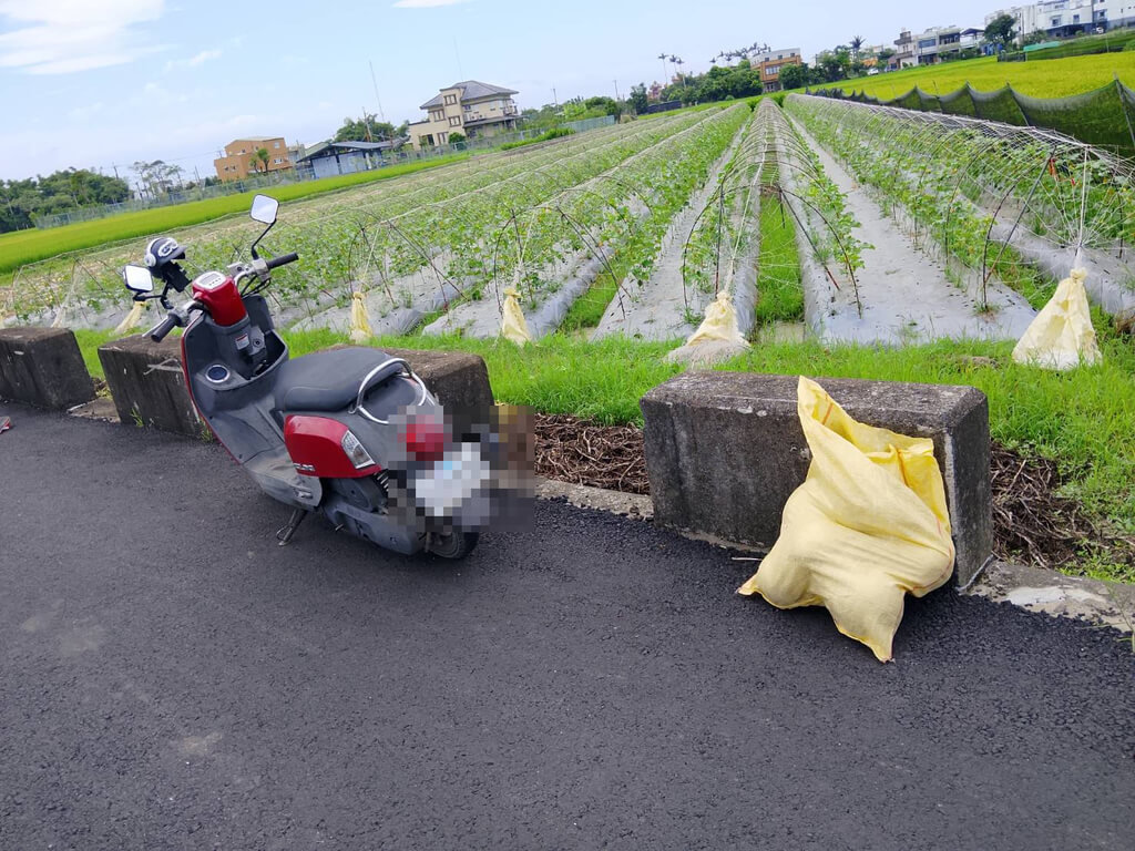 越籍失聯移工偷哈密瓜被查緝　棄車逃逸仍遭逮
