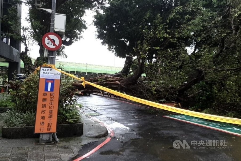 北市水源路樹木傾倒　壓壞停放汽車