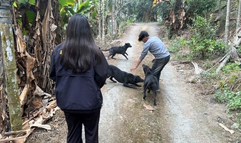 放養犬隻肇事居民恐慌　嘉縣罰飼主逾5萬送辦