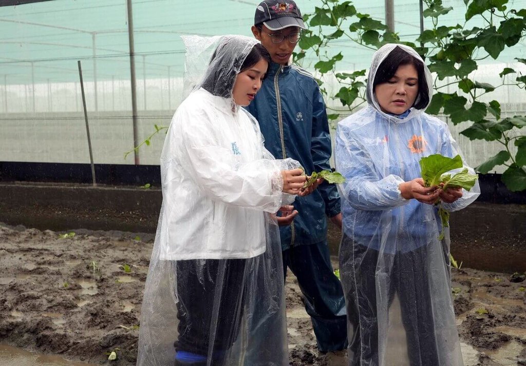 雲林豪大雨造成葉菜類災損逾7成　張麗善勘災