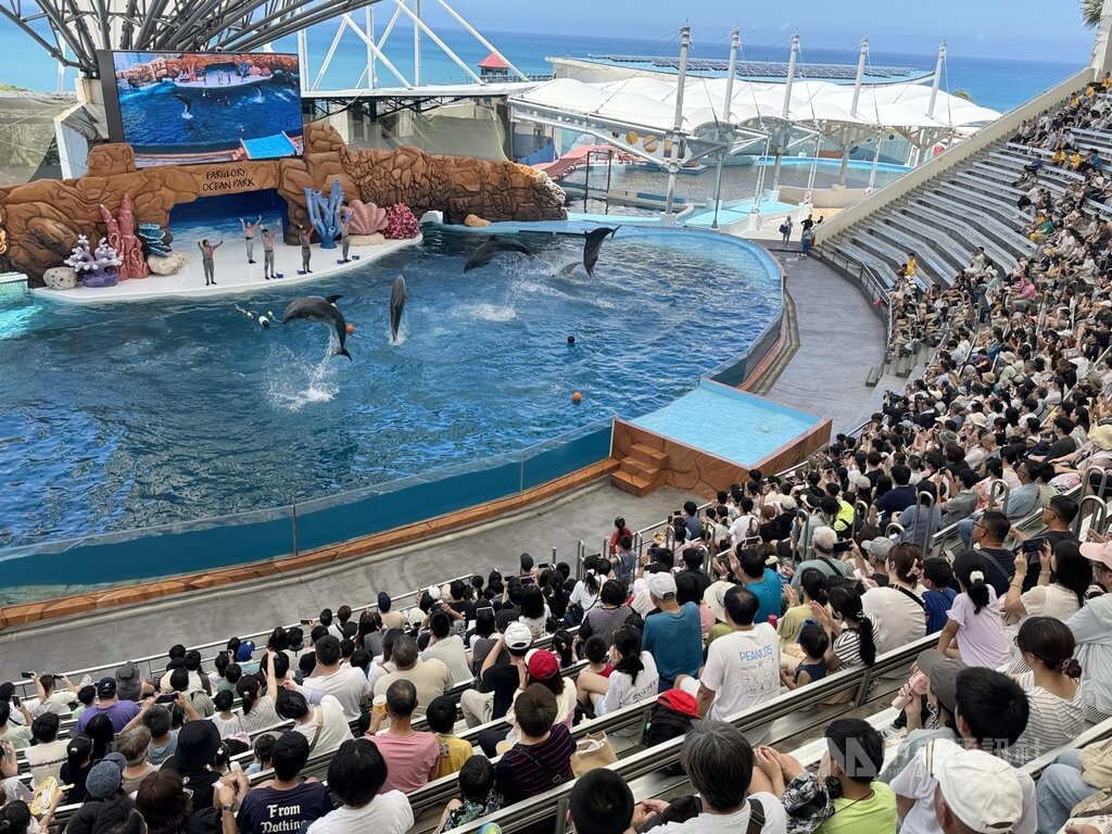 花蓮海洋公園海豚秀落幕 轉型生態展演推廣保育