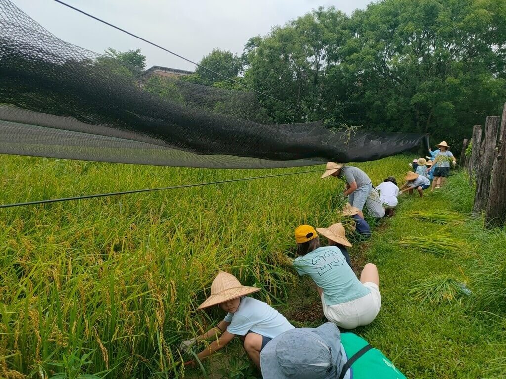環教場所逾6成公立 助整合自然人文