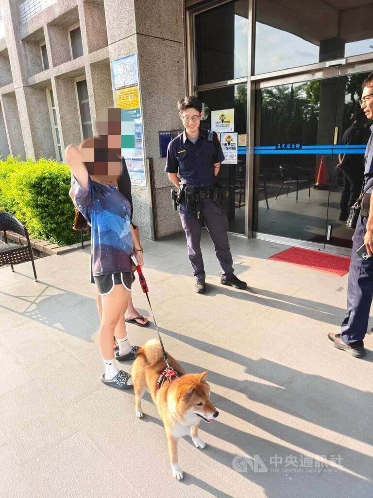 台中走失柴犬跳上好心陌生車　警掃晶片找到回家的路