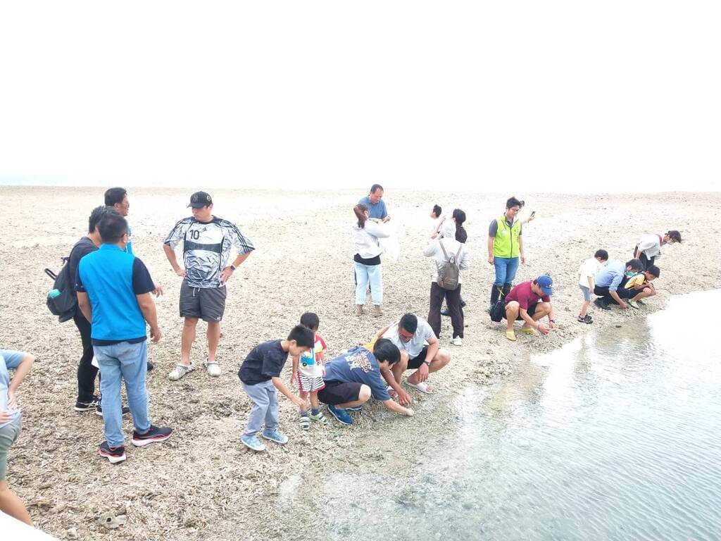 澎湖區漁會與海保署放流魚苗、水晶鳳凰螺 增裕漁業資源 澎湖區漁會與海保署放流魚苗、水晶鳳凰螺 增裕漁業資源