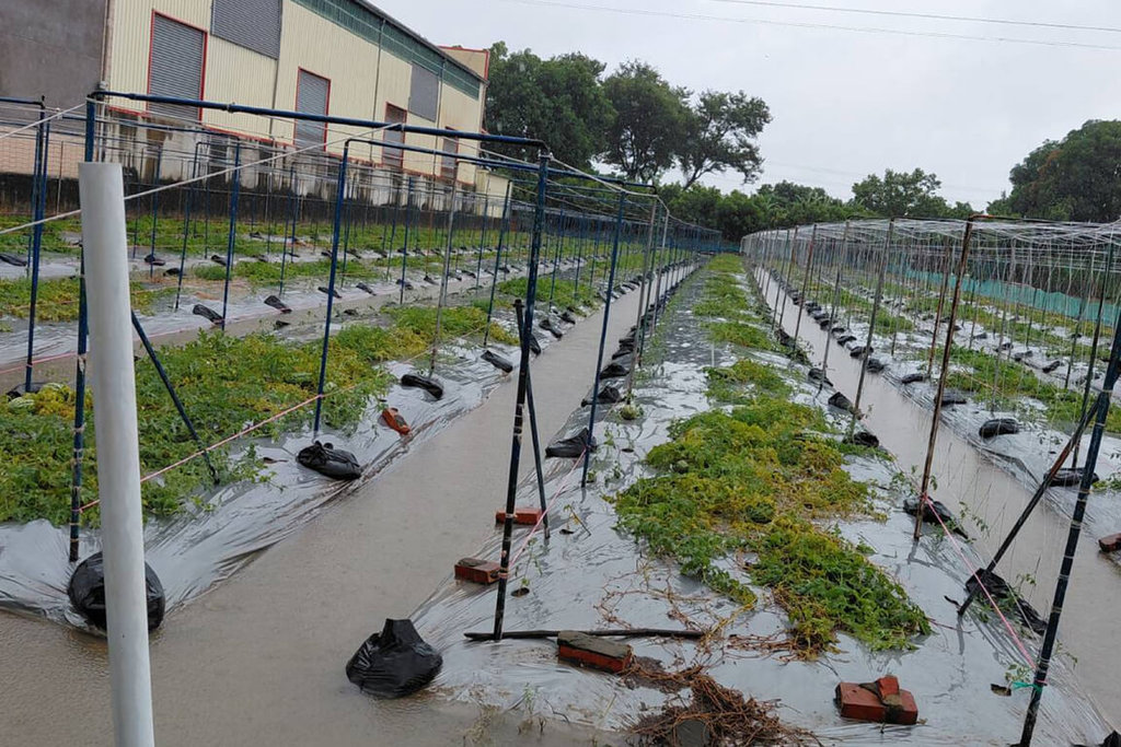 台南豪雨釀農損　全品項納救助範圍開始申請