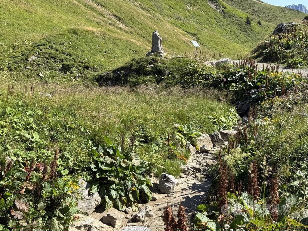 消逝的雪絨花 記憶中的阿爾卑斯山