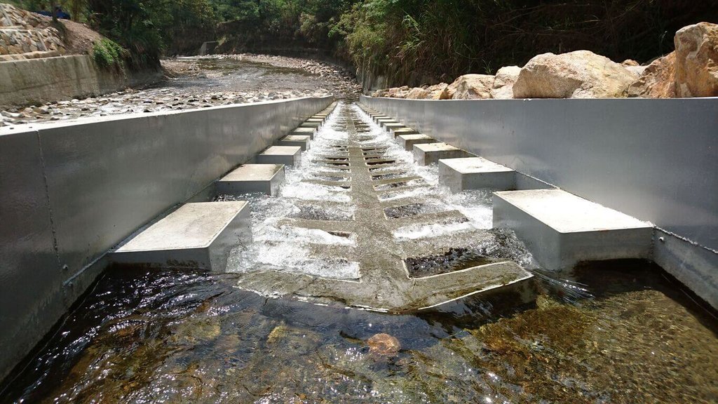 林保署台中分署打造舟通式魚道　創造緩流環境