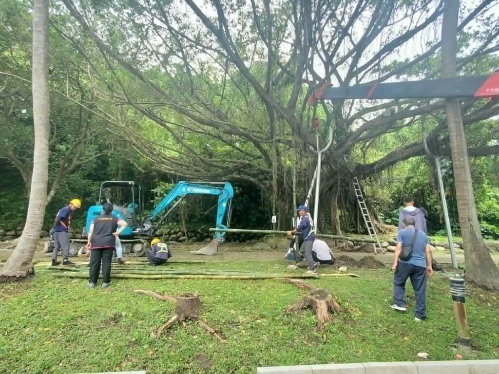 花蓮傾斜老榕加支架　兩潭自行車道「會走路的樹」亮點可期
