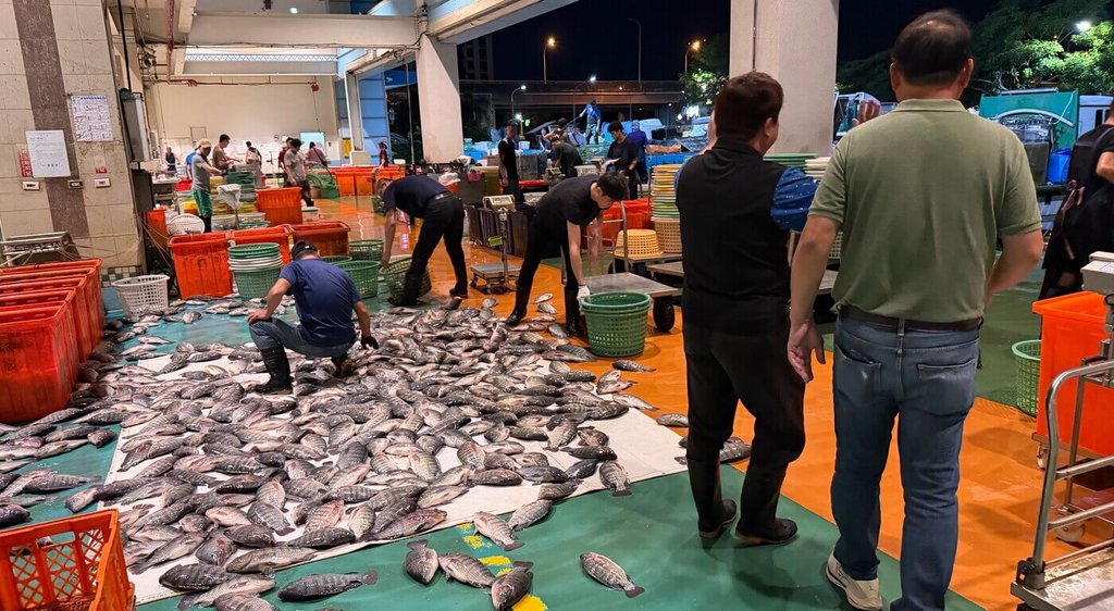 傳限賣澎湖魚貨　台中魚市場：維持60桶