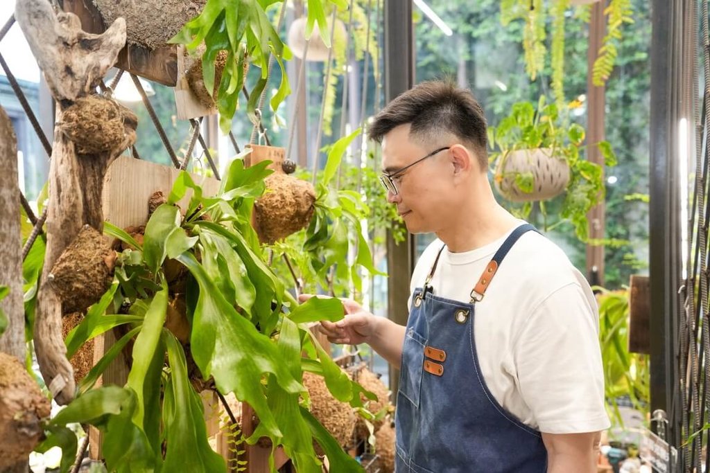 賴瑞隆綠手指顧植栽