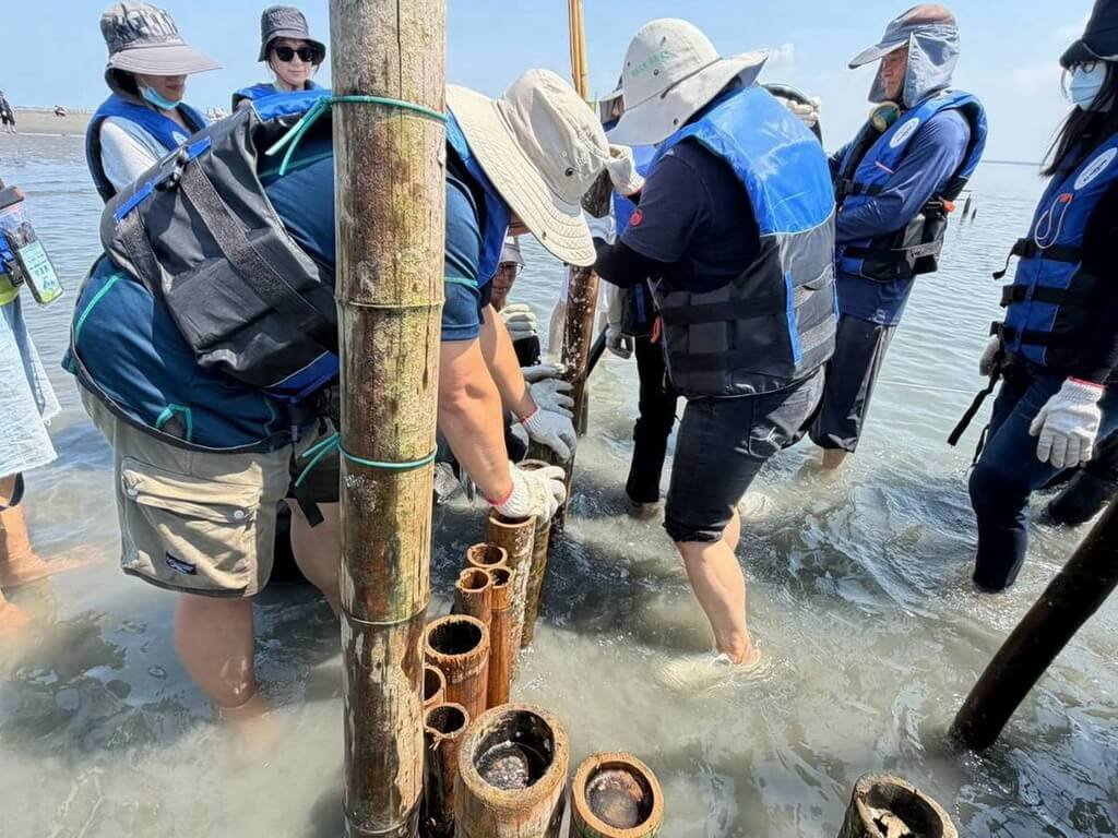 百人協力外傘頂洲護沙行動（2）