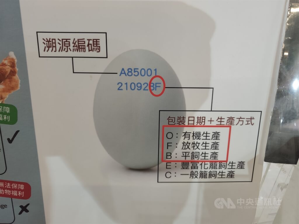 買蛋看洗選還是動物福利 雞蛋安全不是二選一 買蛋看洗選還是動物福利 雞蛋安全不是二選一