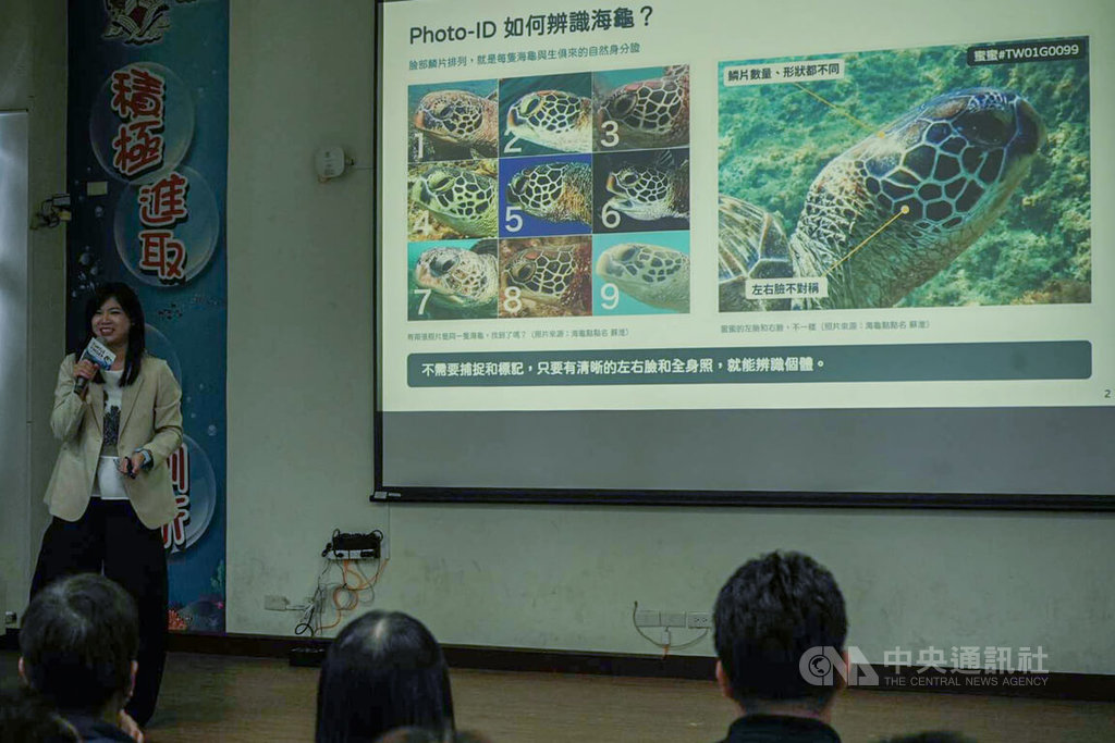 TurtleFinder海龜辨識平台啟用