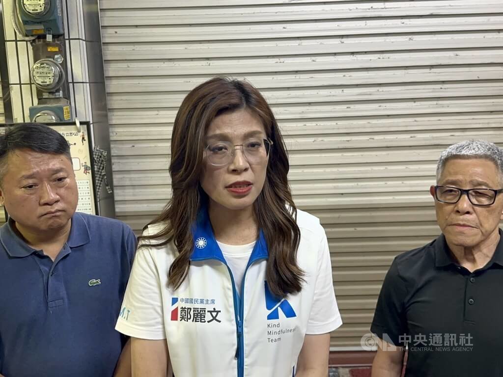 鄭麗文探視謝典霖母親後接受聯訪