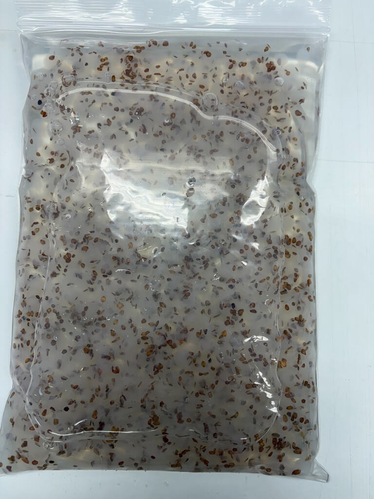 溼式種子造粒　增加水分供應及包覆保護