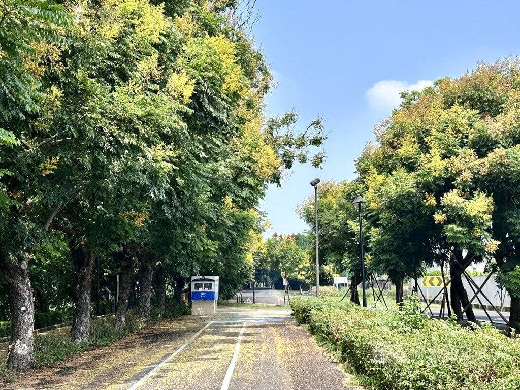 中秋連假彰化追花之旅 沿溪畔尋秋日限定美景 中秋連假彰化追花之旅 沿溪畔尋秋日限定美景