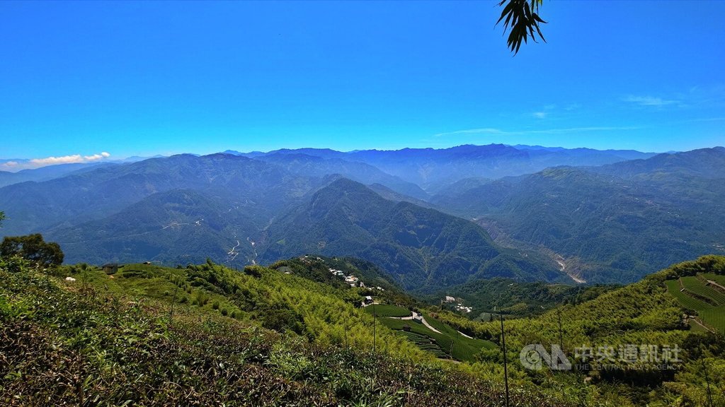 秋高氣爽雲嘉五連峰適合健行 品嚐咖啡與高山茶