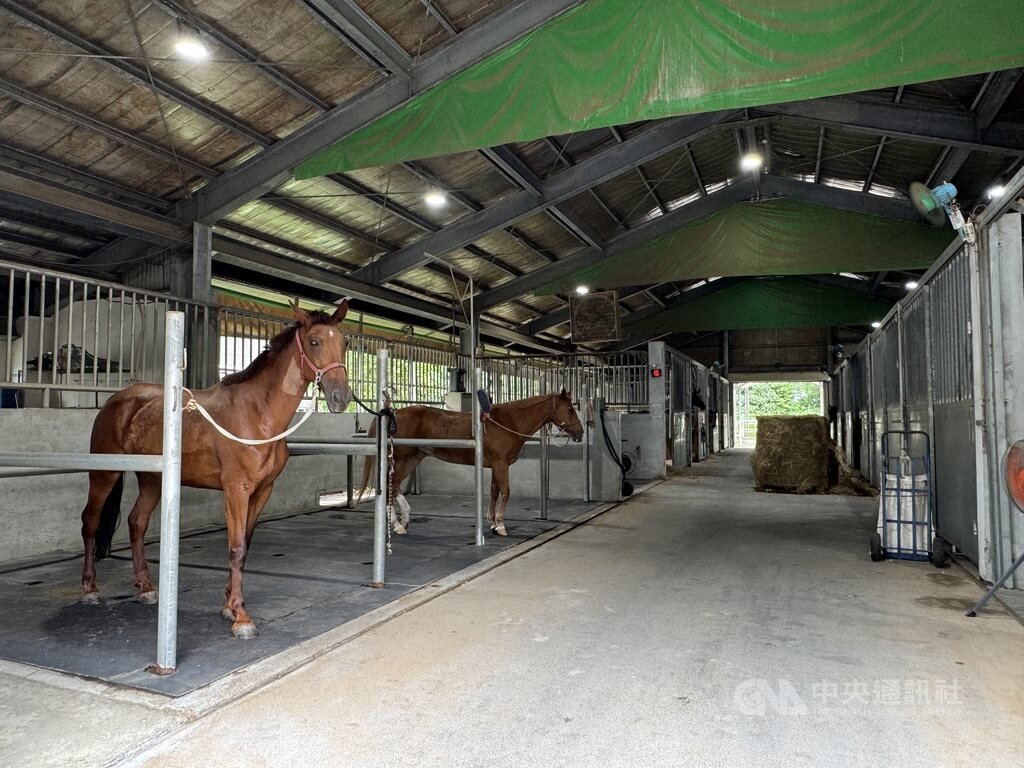 從台北昆陽到屏科大校園 國家免疫馬場升級之路