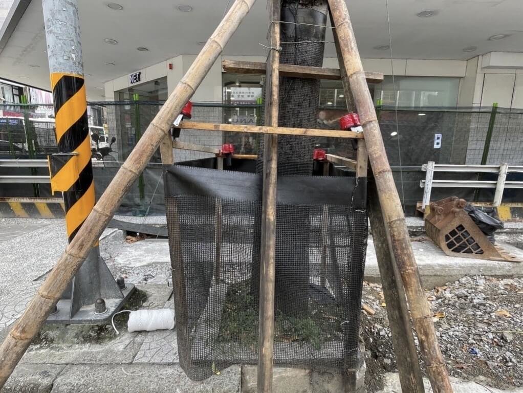 桃園舊城人本改造保留行道樹　施工設置防護網架