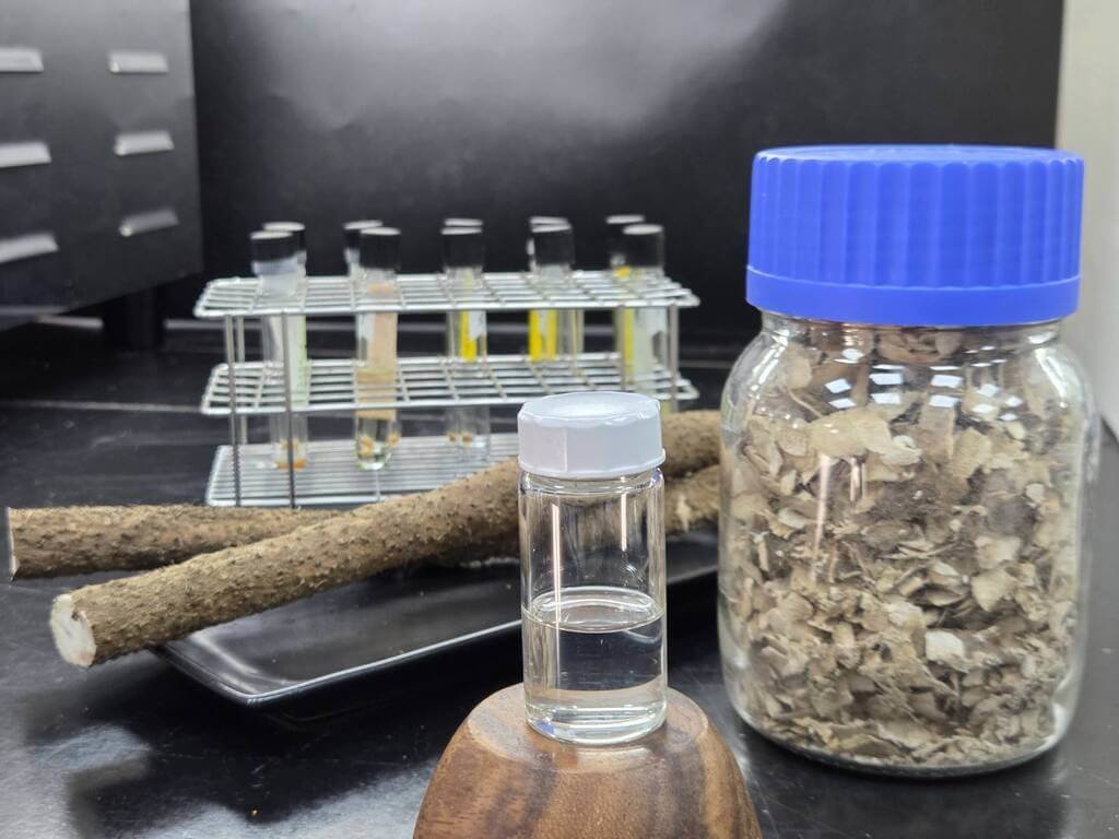 桃園農改場開發山藥薯皮加工新技術
