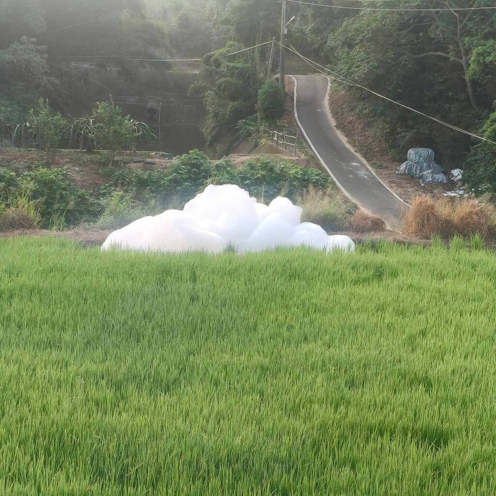 竹縣寶山野溪現不明泡沫