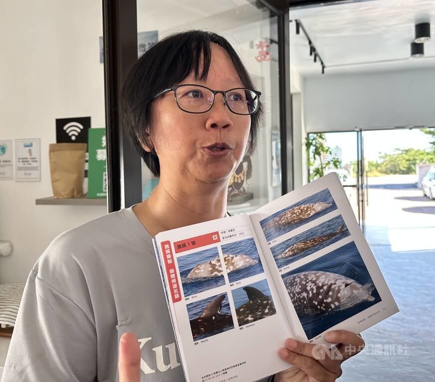 全球最難觀察的鯨類　黑潮基金會記錄喙鯨