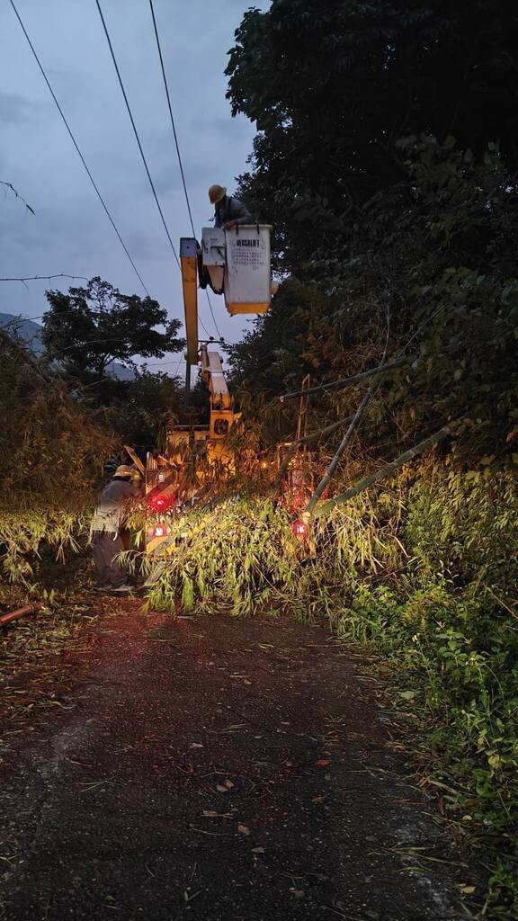 台電花蓮縣秀林鄉樹竹清除作業
