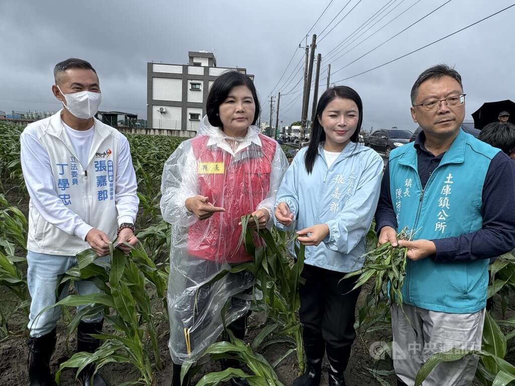 颱風薔琵釀農作物損害 雲林擬爭取全品項救助 颱風薔琵釀農作物損害 雲林擬爭取全品項救助