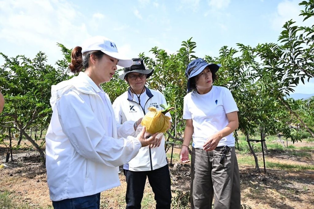 饒慶鈴、吳秀華、黃建賓釋迦園勘災