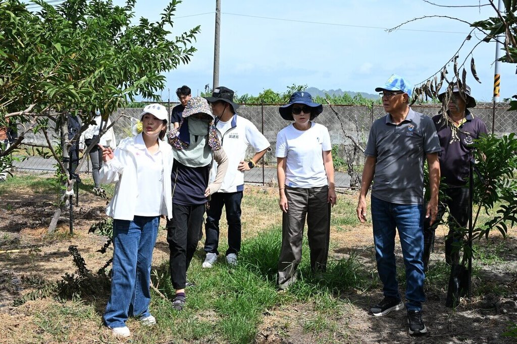 國民黨台東縣長參選人吳秀華關心風災農損