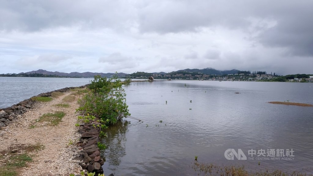 水產養殖技術失傳　夏威夷原住民重建魚塘