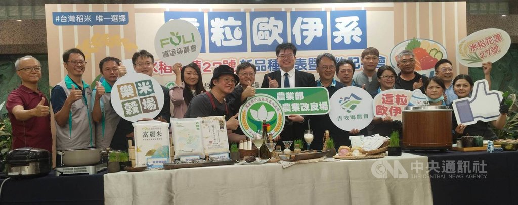 花蓮27號米粒大口感佳又抗病 可望成為米界千里馬 花蓮27號米粒大口感佳又抗病 可望成為米界千里馬