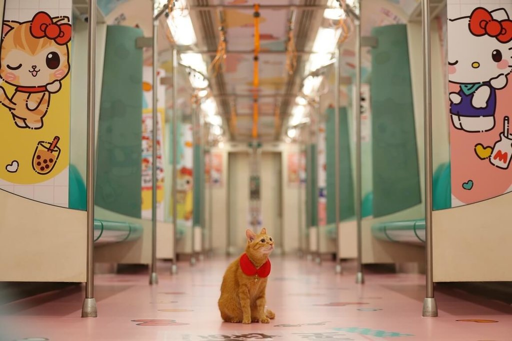 高捷推Hello Kitty與蜜柑站長彩繪列車