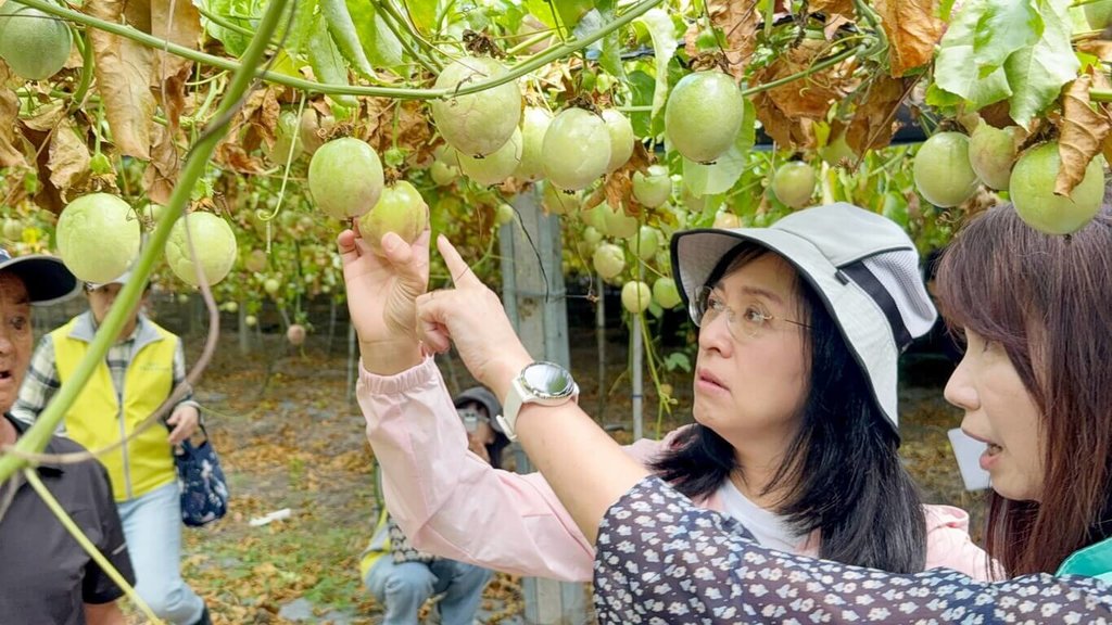 陳瑩邀農業部會勘災農損
