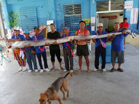 台東杉原海邊撿到地震魚  部落族人議論紛紛
